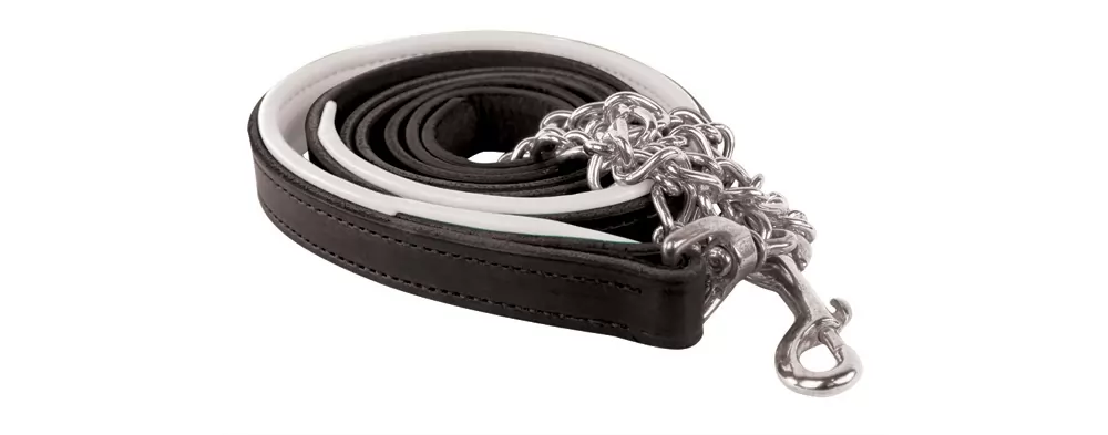 Perris Soft Padded Leather Lead With Custom Nameplate 6 Perris Soft Padded Leather Lead With Custom Nameplate - Image 4