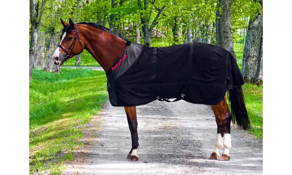 Back On Track Mesh Sheet 4 Back On Track Mesh Sheet - Image 2