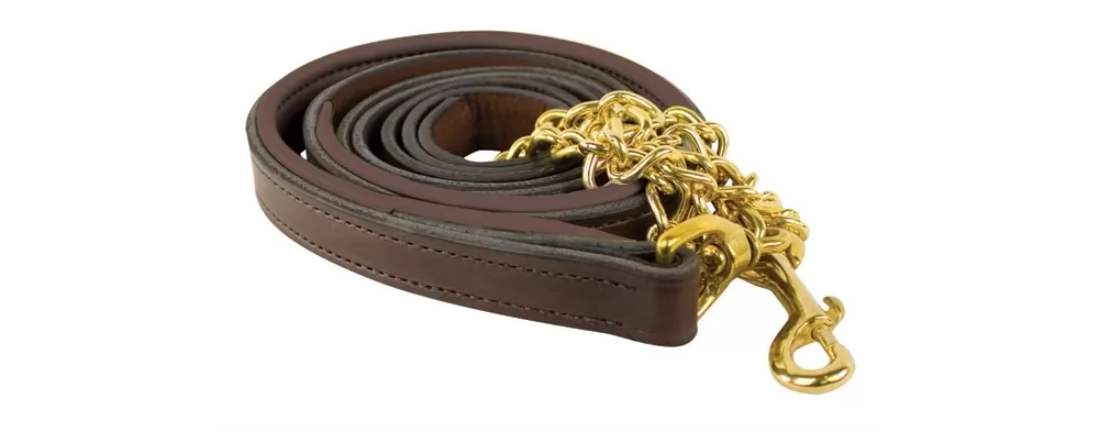 Perris Soft Padded Leather Lead With Custom Nameplate 3 Perris Soft Padded Leather Lead With Custom Nameplate