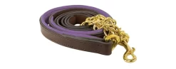 Perris Soft Padded Leather Lead With Custom Nameplate 15 Perris Soft Padded Leather Lead With Custom Nameplate -Equestrian Supplies Store 2f59af4f9a2a2277def219ca311f65a9