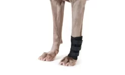 Back On Track Therapeutic Dog Leg Wraps - Pair 7 Back On Track Therapeutic Dog Leg Wraps - Pair -Equestrian Supplies Store 3101 doglegwrap 1 web