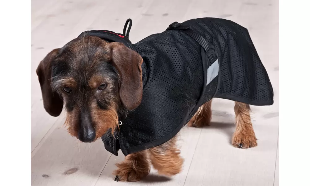 Back On Track Therapeutic Mesh Dachshund Blanket 3 Back On Track Therapeutic Mesh Dachshund Blanket