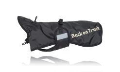 Equestrian Supplies Store -Equestrian Supplies Store 3211 dachshundrug 1 web