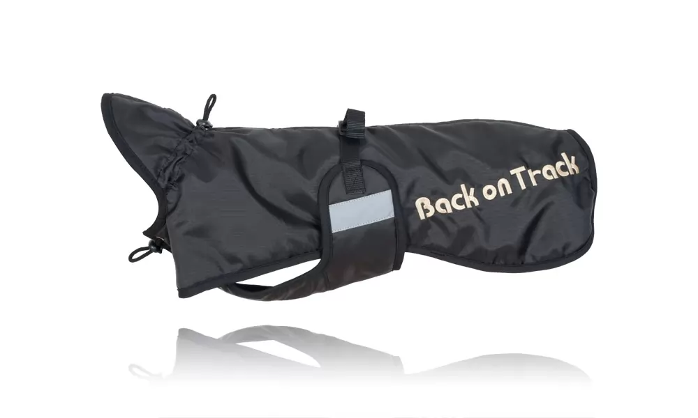 Back On Track Dachshund Regular Dog Blanket 4 Back On Track Dachshund Regular Dog Blanket - Image 2