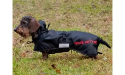 Back On Track Dachshund Regular Dog Blanket