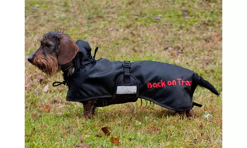 Back On Track Dachshund Regular Dog Blanket 3 Back On Track Dachshund Regular Dog Blanket