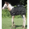 Weaver Foal Midweight Stable Blanket -Equestrian Supplies Store 351509 black