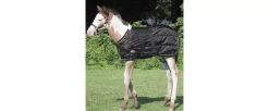 Weaver Foal Midweight Stable Blanket