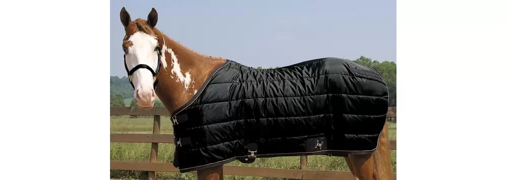 Weaver Heavyweight Quilted Winter Stable Blanket (300 Grams) 3 Weaver Heavyweight Quilted Winter Stable Blanket (300 Grams)