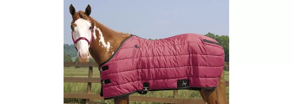 Weaver Heavyweight Quilted Winter Stable Blanket (300 Grams) 5 Weaver Heavyweight Quilted Winter Stable Blanket (300 Grams) - Image 3