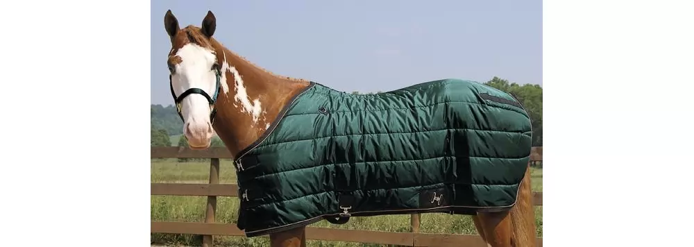 Weaver Heavyweight Quilted Winter Stable Blanket (300 Grams) 6 Weaver Heavyweight Quilted Winter Stable Blanket (300 Grams) - Image 4