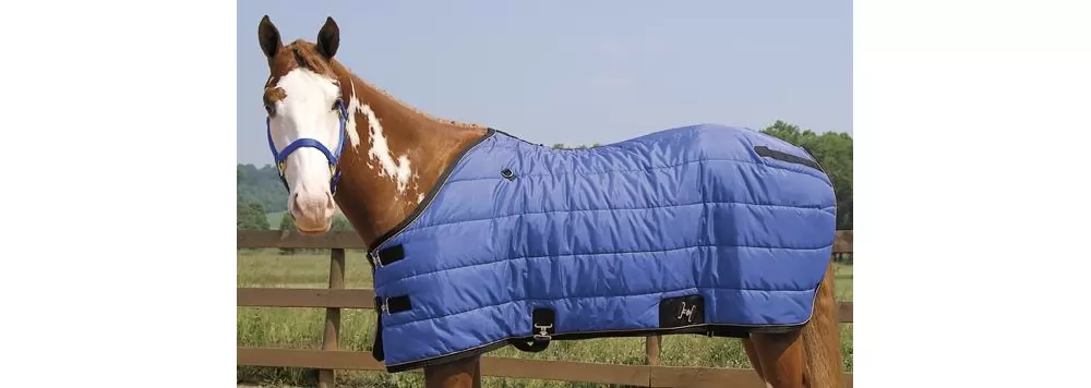 Weaver Heavyweight Quilted Winter Stable Blanket (300 Grams) 4 Weaver Heavyweight Quilted Winter Stable Blanket (300 Grams) - Image 2