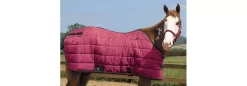 Weaver Heavyweight Winter Horse Stable Blanket (400 Grams) -Equestrian Supplies Store 351511 burgundy