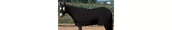Weaver EquiSkinz Stable Sheet 12 Weaver EquiSkinz Stable Sheet -Equestrian Supplies Store 351532 black