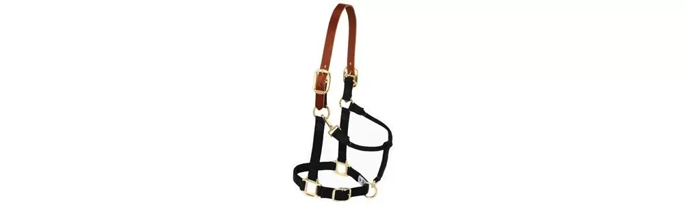Weaver Pony Breakaway Halter With Adjustable Chin 3 Weaver Pony Breakaway Halter With Adjustable Chin