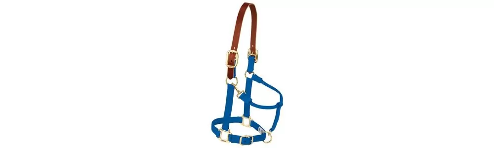 Weaver Pony Breakaway Halter With Adjustable Chin 9 Weaver Pony Breakaway Halter With Adjustable Chin - Image 7