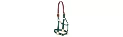 Weaver Pony Breakaway Halter With Adjustable Chin 20 Weaver Pony Breakaway Halter With Adjustable Chin -Equestrian Supplies Store 356025 hunter green