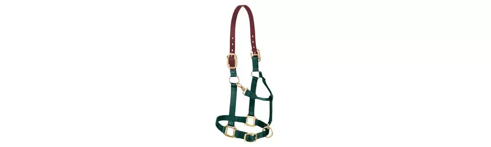 Weaver Pony Breakaway Halter With Adjustable Chin 10 Weaver Pony Breakaway Halter With Adjustable Chin - Image 8