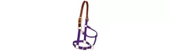 Weaver Pony Breakaway Halter With Adjustable Chin 22 Weaver Pony Breakaway Halter With Adjustable Chin -Equestrian Supplies Store 356025 purple