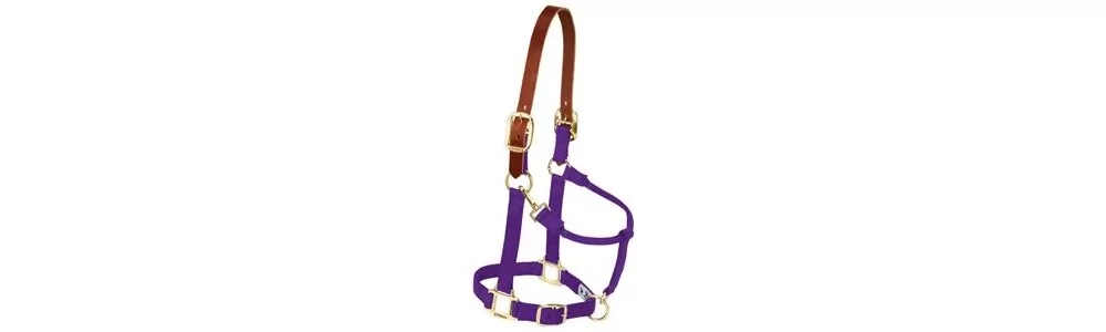 Weaver Pony Breakaway Halter With Adjustable Chin 12 Weaver Pony Breakaway Halter With Adjustable Chin - Image 10