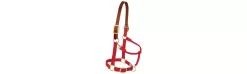 Weaver Pony Breakaway Halter With Adjustable Chin 23 Weaver Pony Breakaway Halter With Adjustable Chin -Equestrian Supplies Store 356025 red