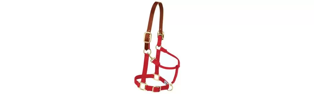 Weaver Pony Breakaway Halter With Adjustable Chin 13 Weaver Pony Breakaway Halter With Adjustable Chin - Image 11