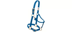 Weaver Original Adjustable 1" Chin & Throat Halter 35 Weaver Original Adjustable 1" Chin & Throat Halter -Equestrian Supplies Store 357035 blue