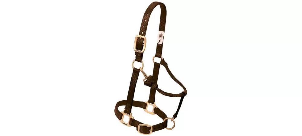 Weaver Original Adjustable 1" Chin & Throat Halter 9 Weaver Original Adjustable 1" Chin & Throat Halter - Image 7