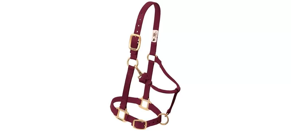 Weaver Original Adjustable 1" Chin & Throat Halter 17 Weaver Original Adjustable 1" Chin & Throat Halter - Image 15