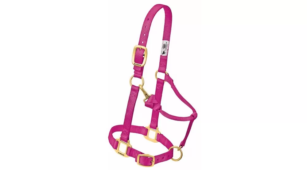 Weaver Original Adjustable 1" Chin & Throat Halter 21 Weaver Original Adjustable 1" Chin & Throat Halter - Image 19