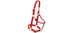 Weaver Original Adjustable 1" Chin & Throat Halter 41 Weaver Original Adjustable 1" Chin & Throat Halter -Equestrian Supplies Store 357035 red
