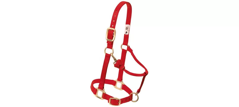 Weaver Original Adjustable 1" Chin & Throat Halter 22 Weaver Original Adjustable 1" Chin & Throat Halter - Image 20