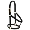Weaver Basic Non-Adjustable 1" Nylon Halter 1 Weaver Basic Non-Adjustable 1" Nylon Halter -Equestrian Supplies Store 357405 black