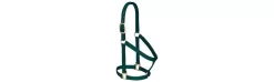 Weaver Basic Non-Adjustable 1" Nylon Halter -Equestrian Supplies Store 357405 hunter green