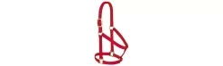 Weaver Basic Non-Adjustable 1" Nylon Halter -Equestrian Supplies Store 357405 red