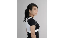 Equifit ShouldersBack Lite -Equestrian Supplies Store 3bb1dd89dcfbc42791f61c4a0db65162