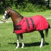 Ozark Mini/Pony Roustabout Blanket -Equestrian Supplies Store 4 100886