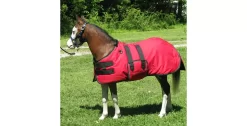 Ozark Mini/Pony Roustabout Blanket