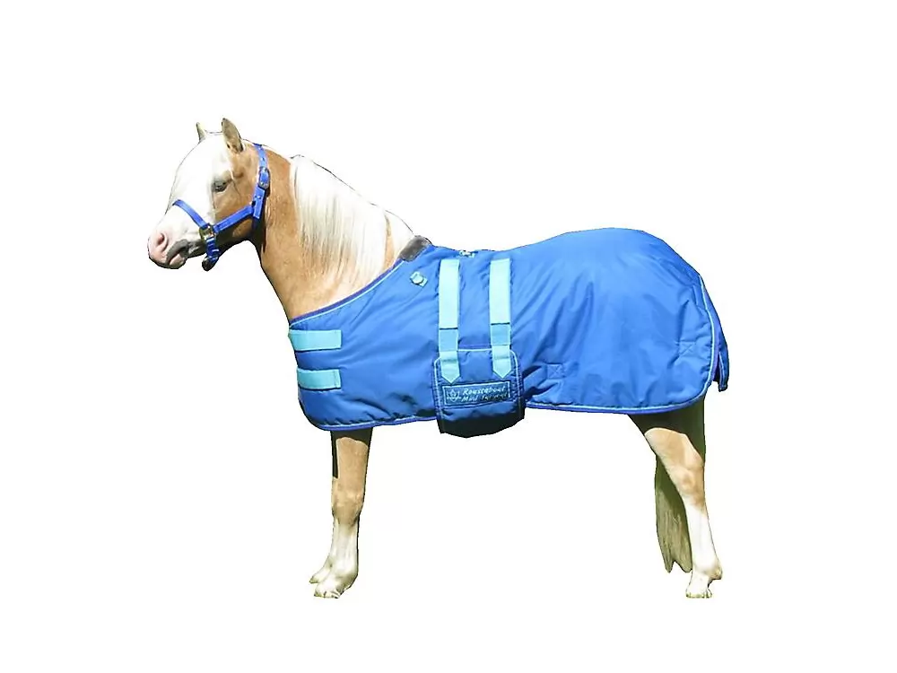 Ozark Mini/Pony Roustabout Blanket 4 Ozark Mini/Pony Roustabout Blanket - Image 2