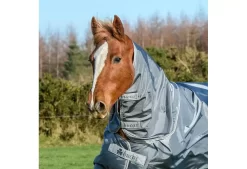 Bucas Smartex Horse Neck Rug 9 Bucas Smartex Horse Neck Rug -Equestrian Supplies Store 4 174959