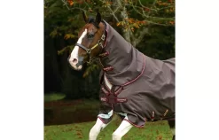 Amigo Bravo 12 Neck Cover - No Fill -Equestrian Supplies Store 4 223486