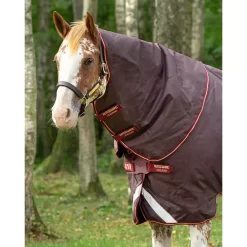 Amigo Bravo 12 Neck Cover - Medium (150 G) 8 Amigo Bravo 12 Neck Cover - Medium (150 G) -Equestrian Supplies Store 4 223492