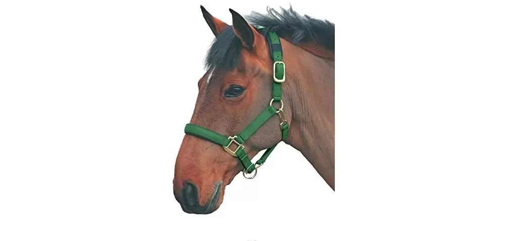 Shires Topaz Nylon Halter 13 Shires Topaz Nylon Halter - Image 11