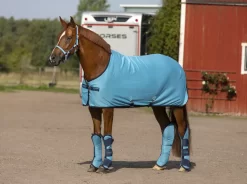 Amigo Jersey Cooler - 2014 9 Amigo Jersey Cooler - 2014 -Equestrian Supplies Store 4 244074