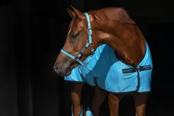 Amigo Jersey Cooler - 2014 10 Amigo Jersey Cooler - 2014 -Equestrian Supplies Store 4 244074 a