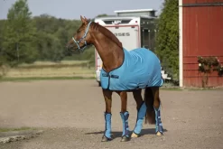 Amigo Jersey Cooler - 2014 11 Amigo Jersey Cooler - 2014 -Equestrian Supplies Store 4 244074 b