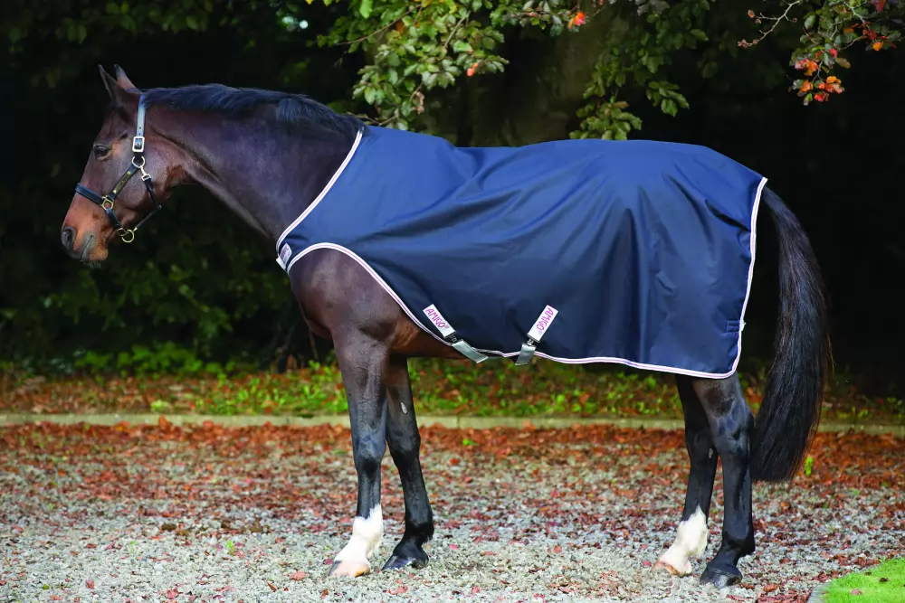 Amigo Waterproof Walker 4 Amigo Waterproof Walker - Image 2