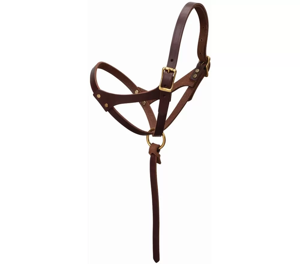 Weaver Figure 8 Foal Halter 4 Weaver Figure 8 Foal Halter - Image 2