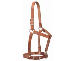 Weaver 5/8" Riveted Halter With Catch Strap -Equestrian Supplies Store 4 249591
