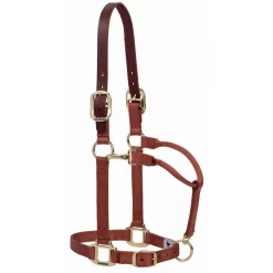 Weaver Pony Breakaway Halter With Adjustable Chin 17 Weaver Pony Breakaway Halter With Adjustable Chin -Equestrian Supplies Store 4 249737